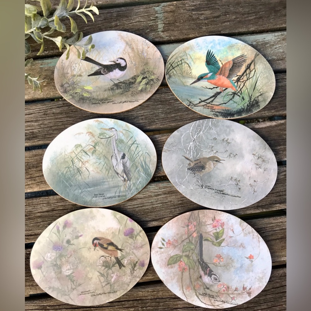 Christopher Scales painted bird coasters- set of six